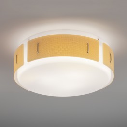Vianne Ceiling