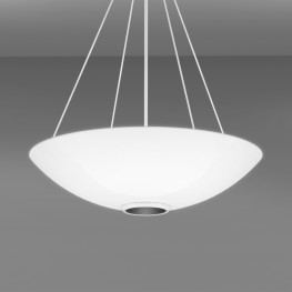 Fleur Pendant with Downlight